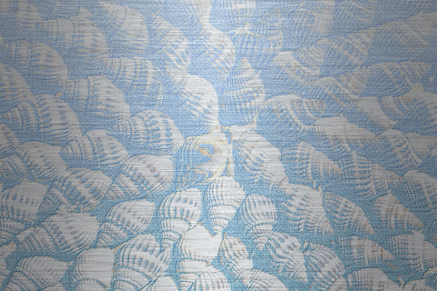 Seashells