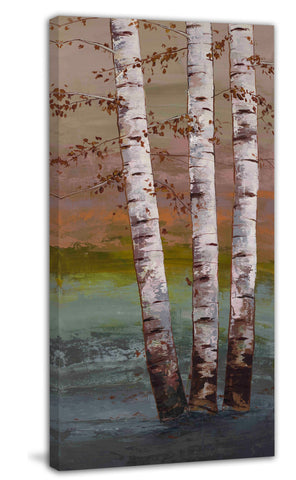 Birch at Breaking Light