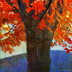 Brilliant Fall Maple I
