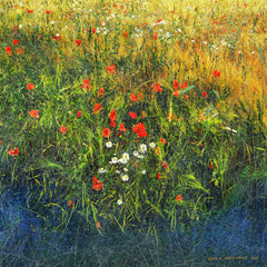 Barley and Poppies B