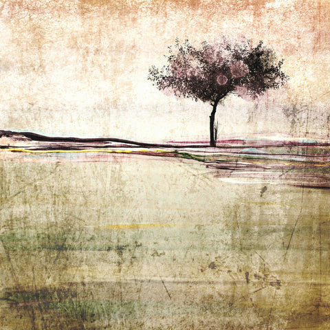 Morning Light I