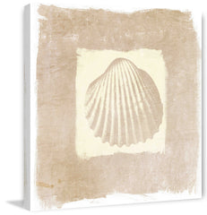 Sea Shell