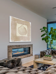 Sea Shell