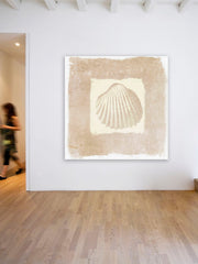 Sea Shell