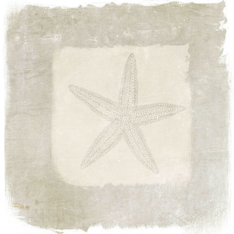 Sea Star