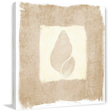 Shell
