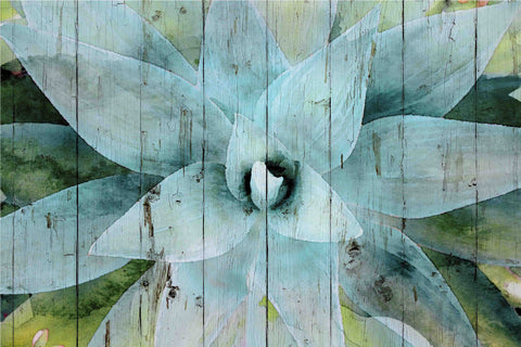 Organic Matter