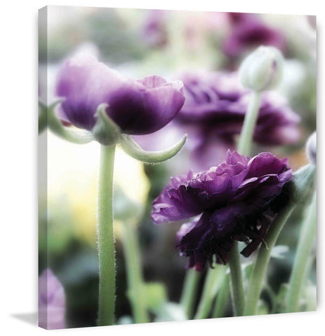 Floral Melody II