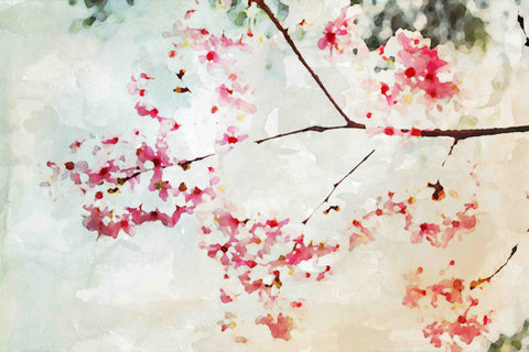 Pink Spring III
