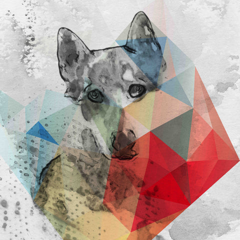 The Dog