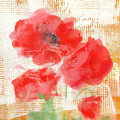 Abstract Poppies II