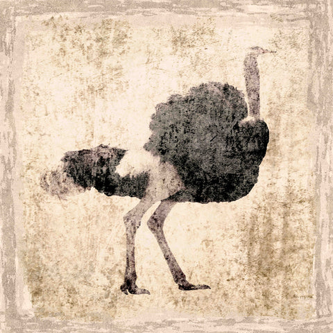 The Ostrich