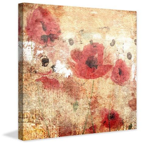Sunset Poppy Field I