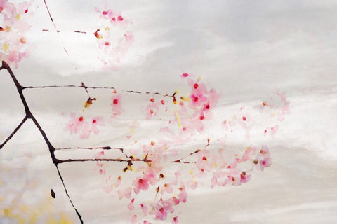 Pink Spring II