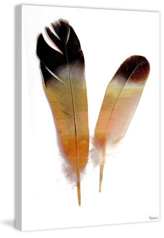 Indigenous