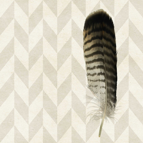 Striped Feather