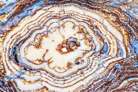 Earth Rings