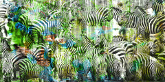 Green Zebras