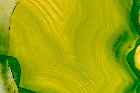 Yellow Waves