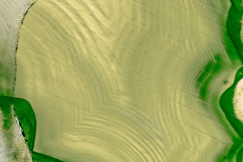 Soft Ripples
