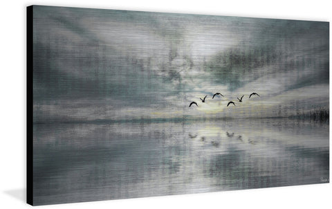 Birds Skylight