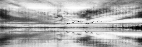 Flight of Six