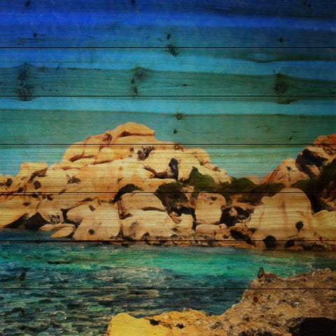The Cove