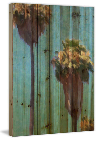Palms