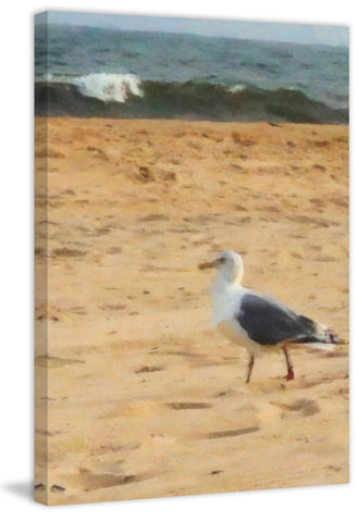 Sag Harbor
