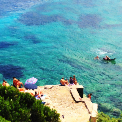 The Cove II