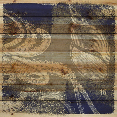 Octopus 16b