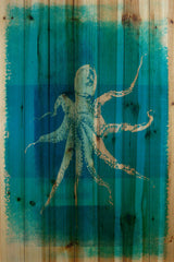 Octopus Xray