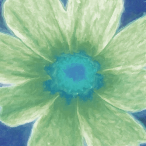 Daisy II