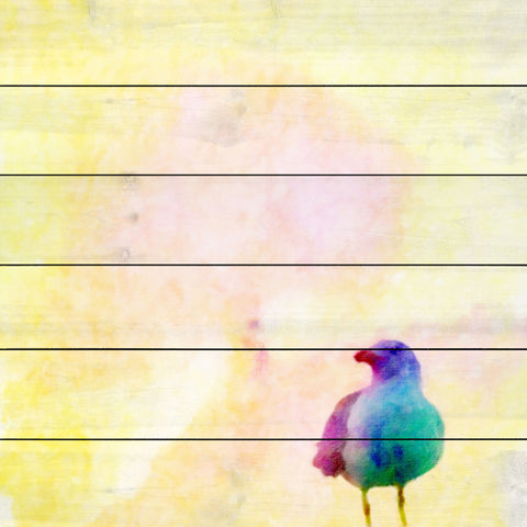 Seagull III