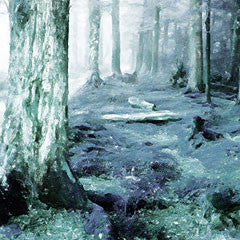 Forest III