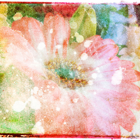 Flower Fairytale