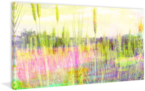 Green Grass