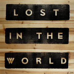 Lost in the World