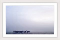 Gathering in the Fog