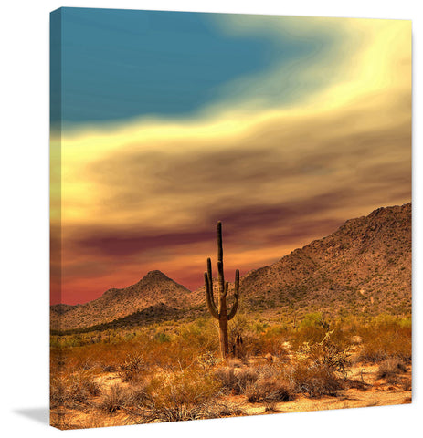 Lone Cactus