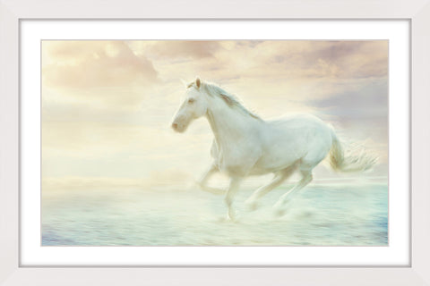 Galloping Through the Water