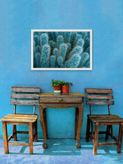 Soft Blue Cacti