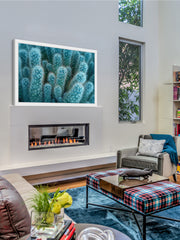 Soft Blue Cacti