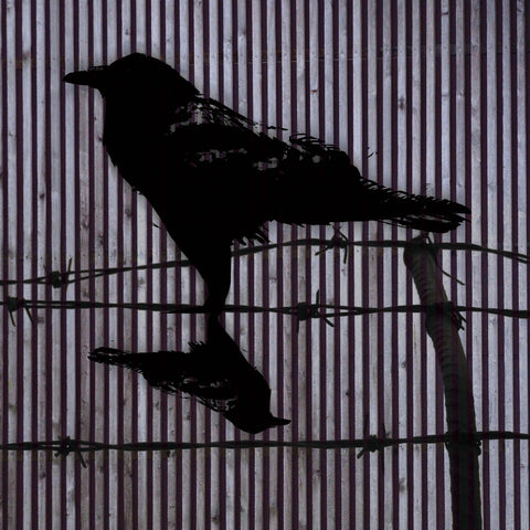Dark and Caged
