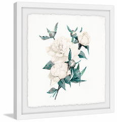 Prickly Rose