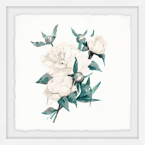 Prickly Rose