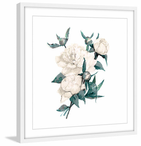 Prickly Rose