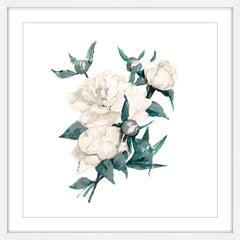 Prickly Rose