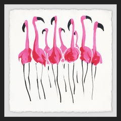Flamboyance