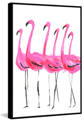 Flamants Roses